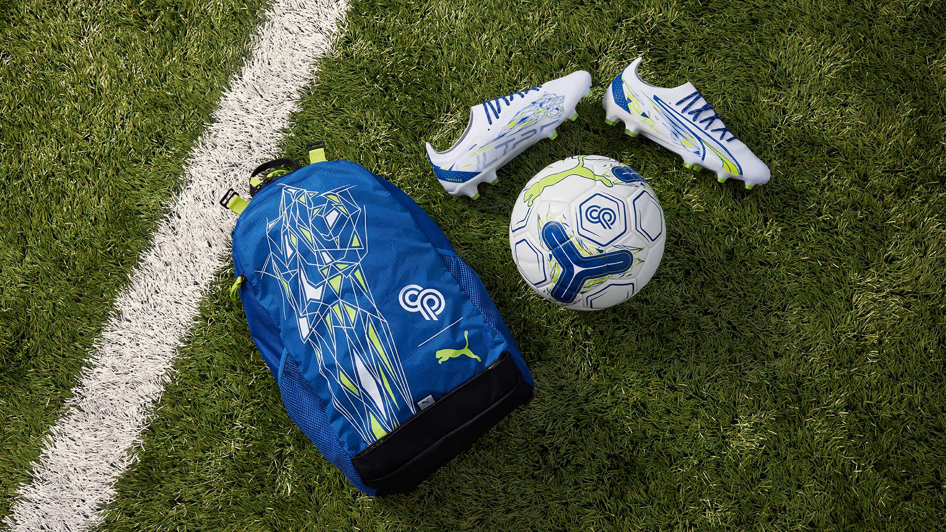 育媒体平台 育媒体平台