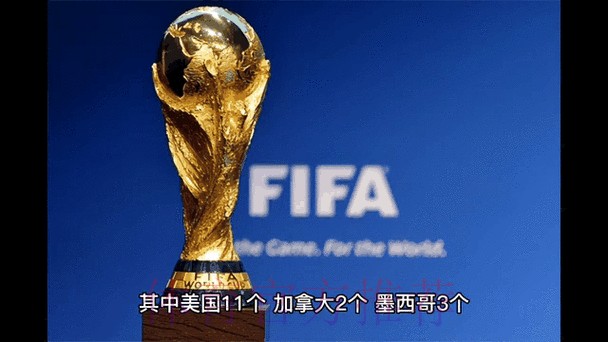 实时分析与世界杯投注动态 实时分析与世界杯投注动态